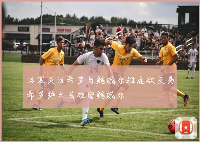 活塞关注希罗与鲍威尔雄鹿欲交易希罗热火或难留鲍威尔