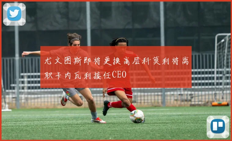 尤文图斯即将更换高层科莫利将离职卡内瓦利接任CEO